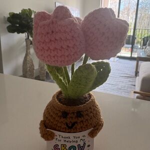 Charming Pink Crochet Flower Pot with Green Leaves “Thank you for helpingme grow